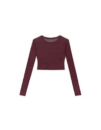Sheer Knit Crop Long Sleeve Top