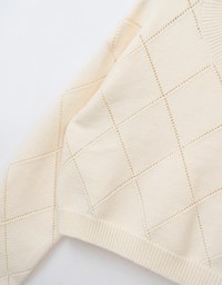 Solid Color Argyle Knit Sweater