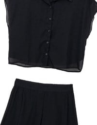 Chiffon Collared Short Sleeve Top And Flowy Pleated Mini Shorts Set Wear