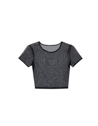 Crew Neck Sheer Mesh Short Sleeve Cropped Tee