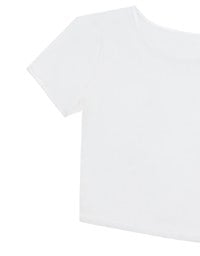Crew Neck Sheer Mesh Short Sleeve Cropped Tee
