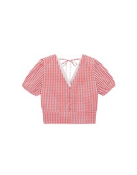 V Neck Gingham Crop Blouse with Puff Sleeves and Smocked Waistband