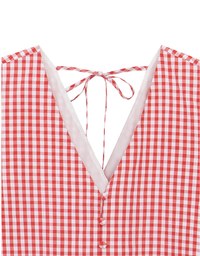 V Neck Gingham Crop Blouse with Puff Sleeves and Smocked Waistband