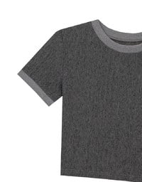 Contrast Trim Semi Sheer Knit Cropped Short Sleeve Tee