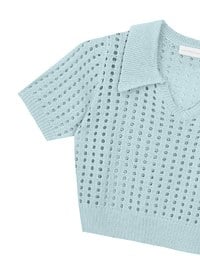 Short Sleeve V Neck Hollow Out Knit Crop Polo Top