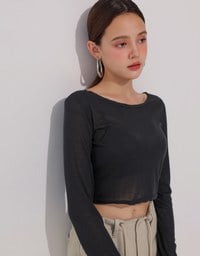 Round Neck Sheer Mesh Long Sleeve Cropped Top