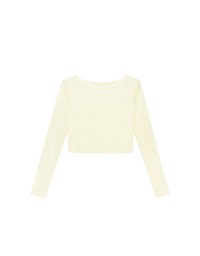 Round Neck Sheer Mesh Long Sleeve Cropped Top