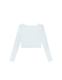 Round Neck Sheer Mesh Long Sleeve Cropped Top