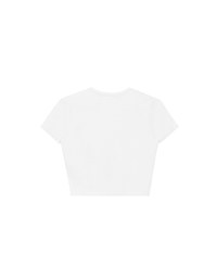 Basic Crew Neck Knit Fitted Crop Top
