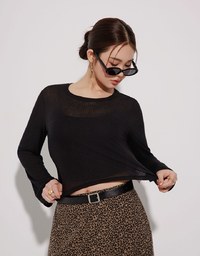 Sheer Knit Crop Long Sleeve Top