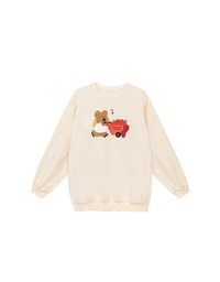 【DINOTAENG】Fluffy Embroidery Graphic Sweatshirt