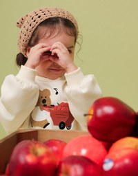 【DINOTAENG】 Fluffy Embroidery Graphic Sweatshirt ( Kids)