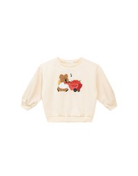 【DINOTAENG】 Fluffy Embroidery Graphic Sweatshirt ( Kids)