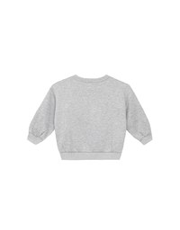 【DINOTAENG】 Fluffy Embroidery Graphic Sweatshirt ( Kids)